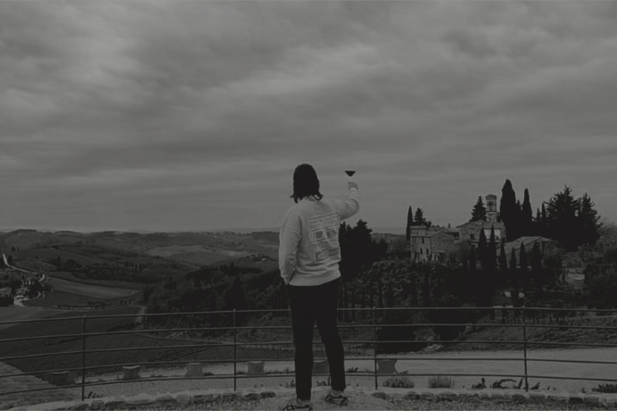 Adult male beagle dog sleeping on his pillow. Shallow depth of field.